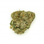 Susz konopny "Critical NL" 7,2% CBD